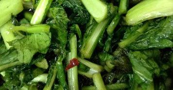 野沢菜